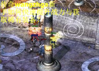 传奇wangzhga新手如何快速提升战力与获取稀有装备? 传奇wangzhga新手如何快速提升战力与获取稀有装备?