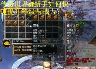 传奇世界sf新手如何快速提升等级与战力？
