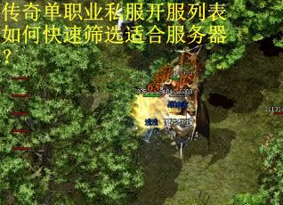 传奇单职业私服开服列表如何快速筛选适合服务器？