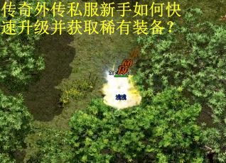传奇外传私服新手如何快速升级并获取稀有装备？