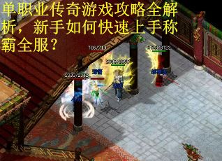 单职业传奇游戏攻略全解析，新手如何快速上手称霸全服？