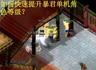 如何快速提升暴君单机角色等级？
