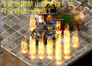 传奇地图禁止带宠物？如何应对这一挑战？