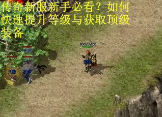 传奇新服新手必看？如何快速提升等级与获取顶级装备
