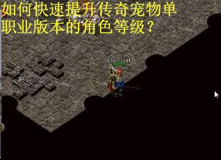 如何快速提升传奇宠物单职业版本的角色等级？