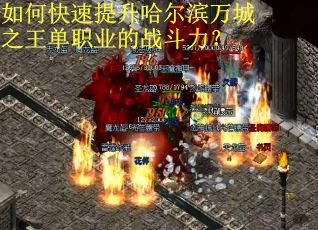 如何快速提升哈尔滨万城之王单职业的战斗力？