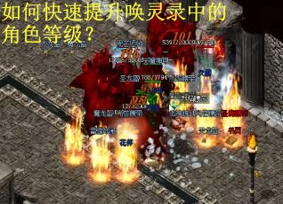 如何快速提升唤灵录中的角色等级？