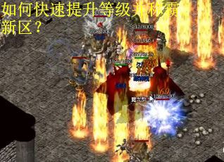如何快速提升等级并称霸新区？