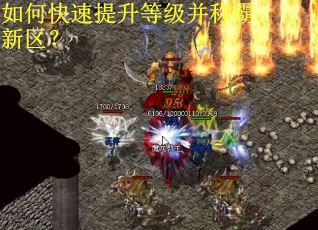 如何快速提升等级并称霸新区？