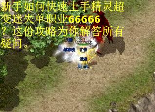 新手如何快速上手精灵超变迷失单职业66666？这份攻略为你解答所有疑问。