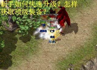 新手如何快速升级？怎样获取顶级装备？