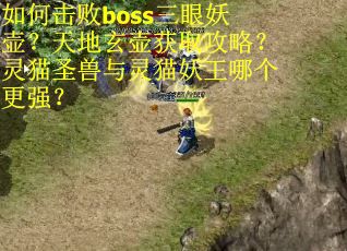 如何击败boss三眼妖壶？天地玄壶获取攻略？灵猫圣兽与灵猫妖王哪个更强？