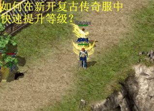 如何在新开复古传奇服中快速提升等级？