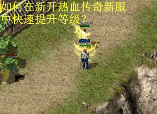 如何在新开热血传奇新服中快速提升等级？