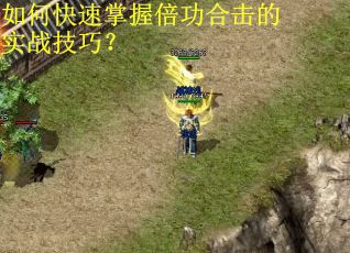 如何快速掌握倍功合击的实战技巧？