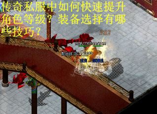 传奇私服中如何快速提升角色等级？装备选择有哪些技巧？