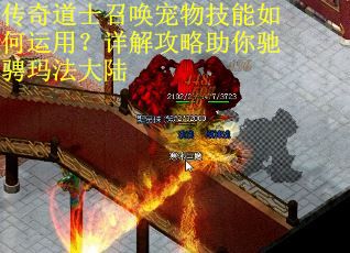传奇道士召唤宠物技能如何运用？详解攻略助你驰骋玛法大陆