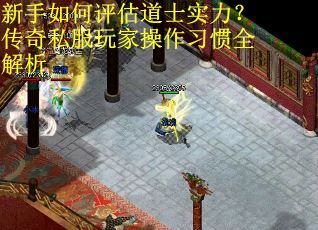 新手如何评估道士实力？传奇私服玩家操作习惯全解析