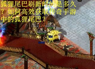 狐狸尾巴刷新时间是多久？如何高效获取传奇手游中的狐狸尾巴？
