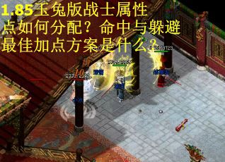 1.85玉兔版战士属性点如何分配？命中与躲避最佳加点方案是什么？